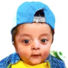 BO Shamsha